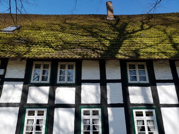 蓝天背景的带苔藓屋顶的木结构房屋 — 图库照片