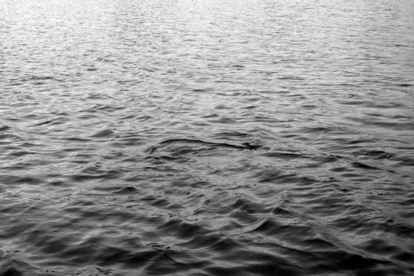 Снимок Поверхности Гладкой Морской Воды Оттенках Серого — стоковое фото