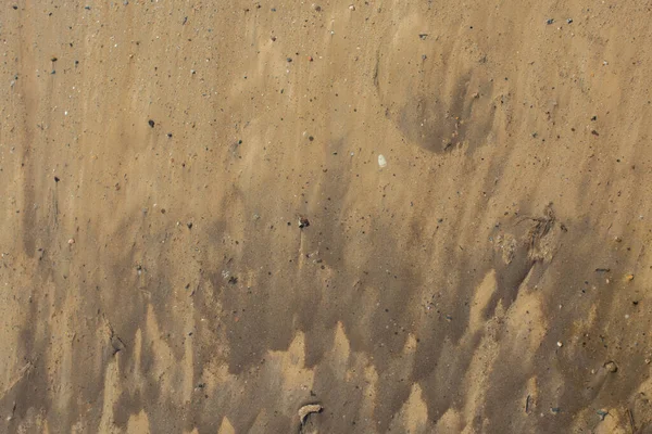 ぬれた泥の背景のクローズアップショット — ストック写真