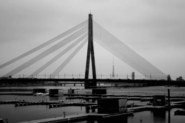 Strzał Skali Szarości Mostu Kablowego — Zdjęcie stockowe