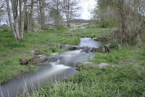 Bellissimo Fiume Scorre Nella Foresta — Foto Stock