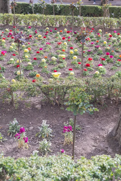 Eine Vertikale Aufnahme Bunter Blumen Garten Von Granada Andalusien Spanien — Stockfoto