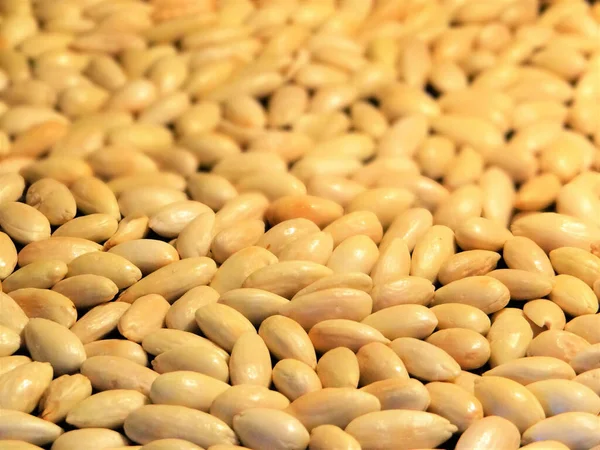 Monte Saborosos Amendoins Torrados — Fotografia de Stock