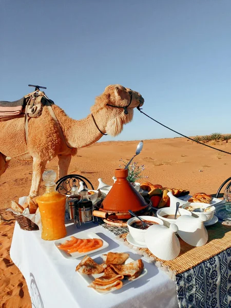 Banquete Apetitoso Utensilio Árabe Tradicional Durante Ramadán Sobre Fondo Camello — Foto de Stock