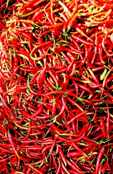 Disparo Vertical Fondo Chiles — Foto de Stock