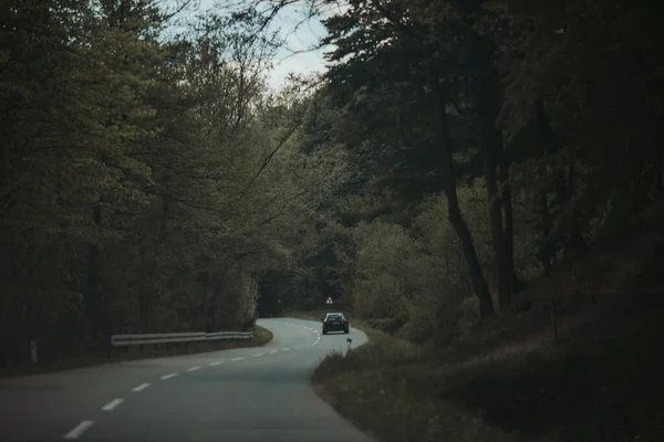 Автомобиль Едет Проселочной Дороге Окружении Зеленых Деревьев — стоковое фото