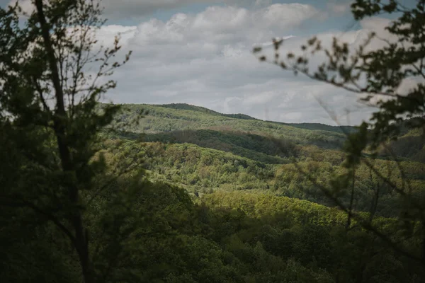 Een Prachtig Landschap Met Beboste Bergen Onder Een Bewolkte Hemel — Stockfoto