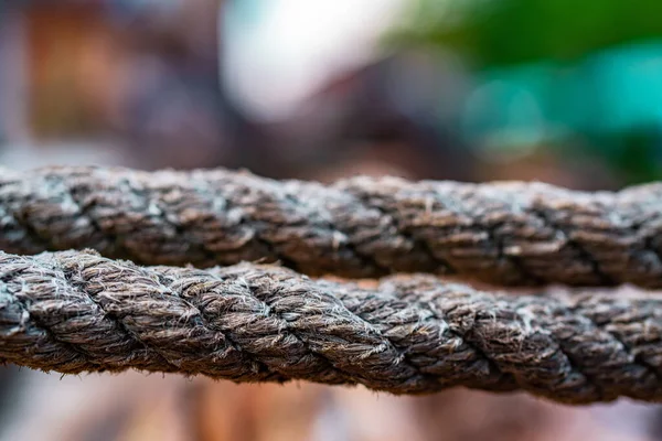 Primer Plano Par Cuerdas Trenzadas Con Fondo Bokeh — Foto de Stock