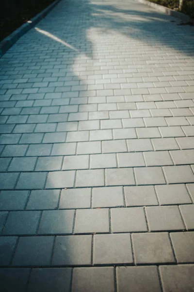 Ένα Κάθετο Πλάνο Ενός Πέτρινου Πεζοδρομίου Σκιές — Φωτογραφία Αρχείου