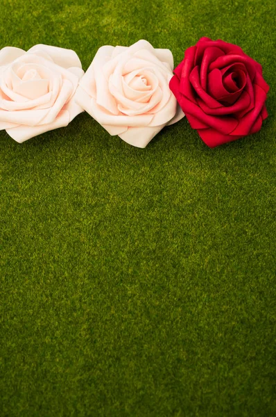 Disparo Vertical Rosas Rojas Blancas Fondo Hierba Verde — Foto de Stock