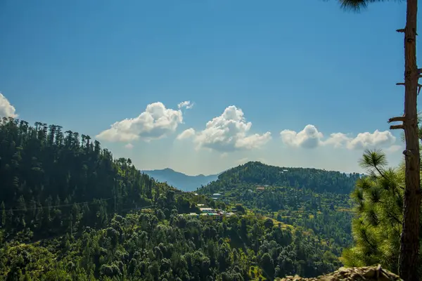 Beautiful Sunny Sky Fluffy Clouds Vast Hills Covered Trees Bright — Stock fotografie