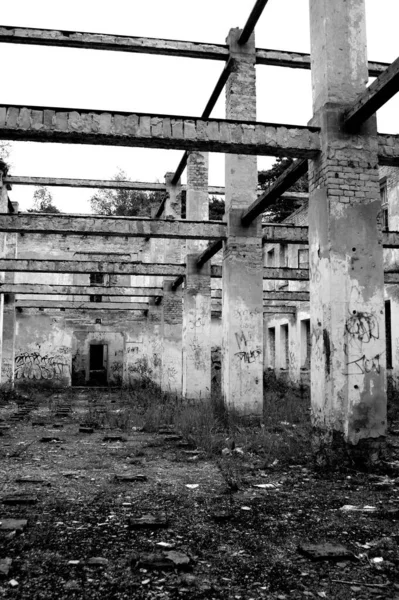 Plano Vertical Escala Grises Estructuras Piedra Área Abandonada —  Fotos de Stock