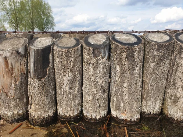 Gros Plan Bûches Bois Coupées Avec Leur Écorce Laissée Profondément — Photo