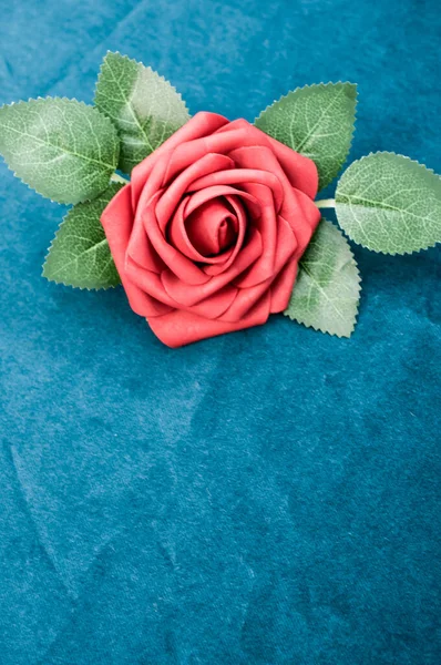 Close Uma Flor Vermelha Fundo Azul Escuro — Fotografia de Stock