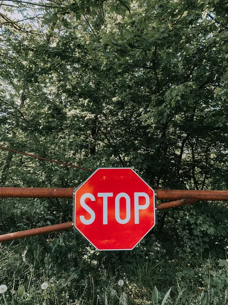 Closeup Shot Red White Stop Sign Park — Stok Foto