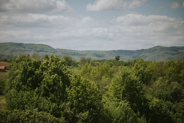 Een Prachtig Landschap Met Groene Bomen Onder Een Bewolkte Hemel — Stockfoto