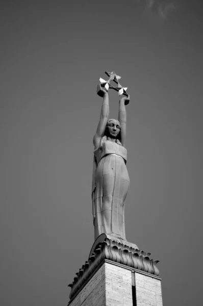 Vertical Grayscale Shot Freedom Monument Riga Latvia — Stock fotografie
