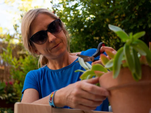 一个戴太阳镜切割植物干叶的快乐金发女人的特写镜头 — 图库照片