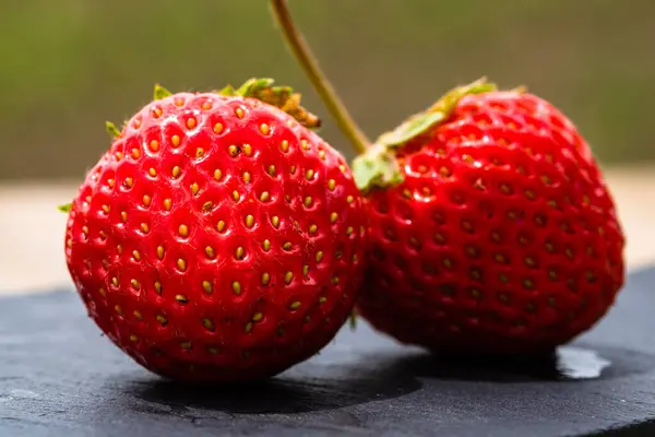 Selective Focus Shot Fresh Ripe Red Strawberries — Zdjęcie stockowe