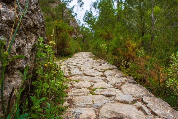 Caminho Pedra Rocha Montanha Cercada Por Vegetação — Fotografia de Stock