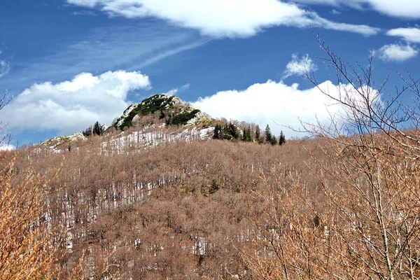 Una Vista Panorámica Espeso Bosque Seco Con Una Montaña Bajo — Foto de Stock
