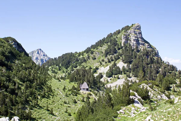 Ett Vackert Landskap Steniga Berg Med Granar Som Växer Dem — Stockfoto