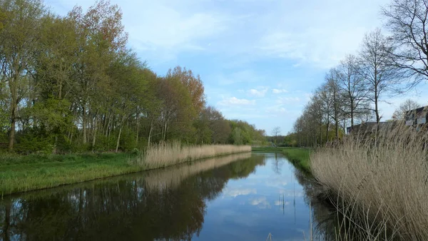 Beautiful River Going Fields Yellow Green Grass Trees Cloudy Sky — Stockfoto