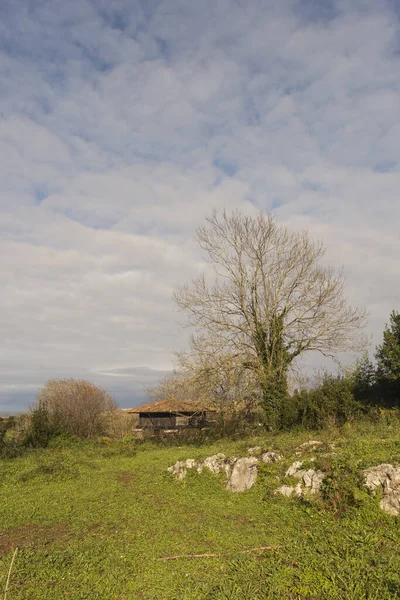 Plano Vertical Naturaleza Asturias España Durante Día — Foto de Stock