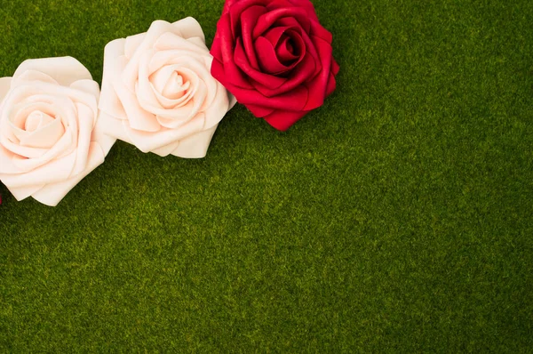 绿草背景上的一朵红白玫瑰特写 — 图库照片
