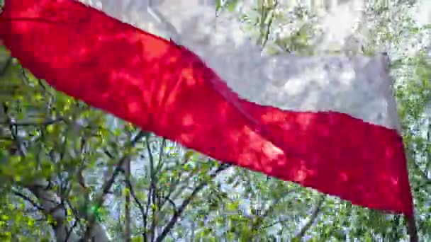 風に揺れるポーランド国旗 — ストック動画