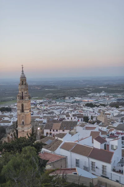 Vertikal Bild Stadsbild Med Detaljer Monument Och Gator Estepa Andalusien — Stockfoto
