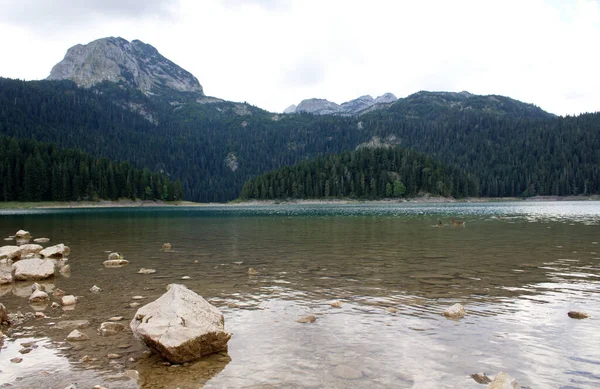 Прекрасний Гірський Краєвид Озером Довгому Кліматі Пітоміном Монотигром — стокове фото