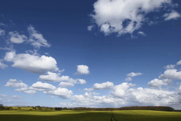 Beautiful Scenery Green Landscape Field Cloudy Sky — Stock fotografie