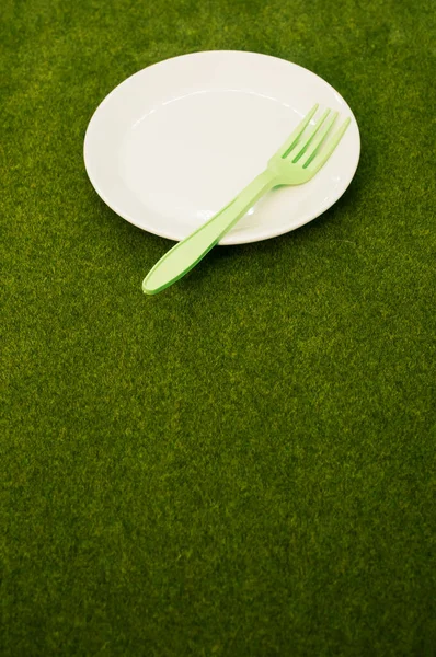 Вертикальний Знімок Білої Пластини Пластиковою Зеленою Вилкою Траві Копіювальним Простором — стокове фото