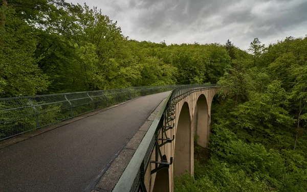Egy Gyönyörű Kép Egy Köves Hídról Egy Sűrű Erdőben — Stock Fotó