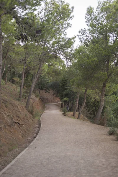 Bir Yolun Dikey Görüntüsü Spanya Nın Katalan Bölgesindeki Parka Gidiyor — Stok fotoğraf