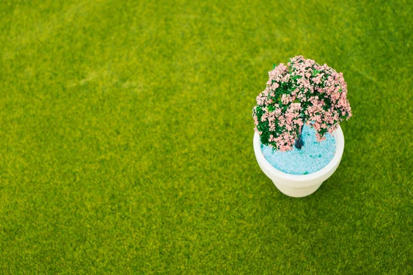 Primo Piano Vaso Fiori Bianchi Con Albero Fiori Ornamentali Sull — Foto Stock