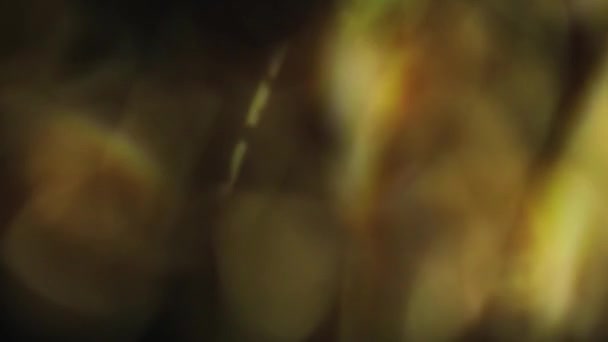 Abstraktní Barevné Pozadí Krásné Tapety — Stock video