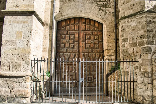 Eine Nahaufnahme Des Alten Holztores Der Kathedrale Castilla Leon Palencia — Stockfoto