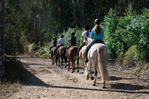 Eine Gruppe Von Reitern Auf Einem Trail — Stockfoto