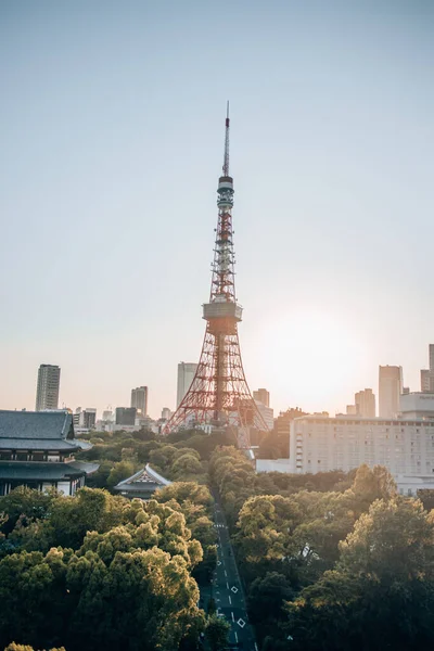 Μια Κάθετη Λήψη Του Πύργου Του Τόκιο Ιαπωνία Κατά Την — Φωτογραφία Αρχείου