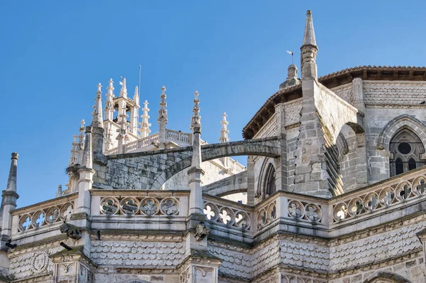 スペインのパレンシアにあるゴシック様式の大聖堂の建築の詳細のクローズアップショット — ストック写真