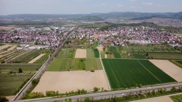 Luftaufnahme Von Stadt Feldern Und Wäldern Mit Grünen Wiesen — Stockvideo