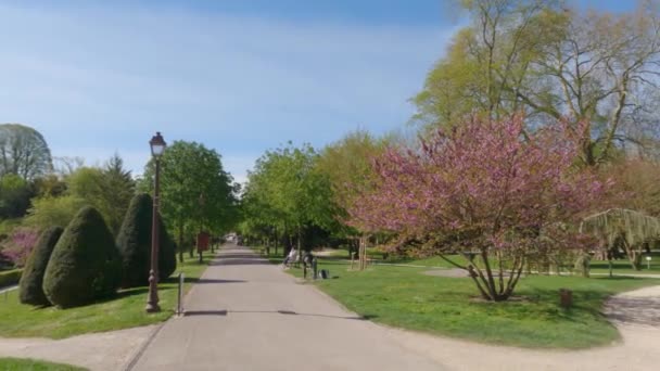 Belle Vue Sur Parc Printemps — Video