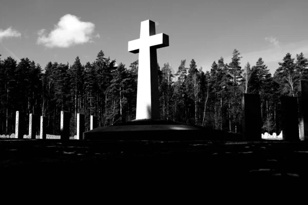 Grayscale Záběr Hřbitovní Krajinu Velkým Kamenným Křížem Popředí — Stock fotografie