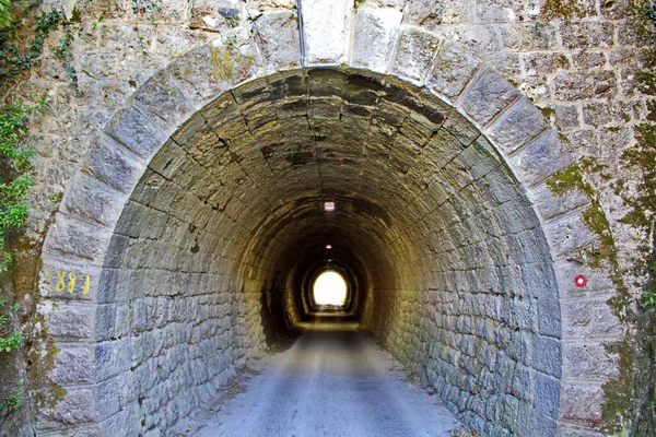 Старый Туннель Выветривающимися Стенами Покрытыми Мхом — стоковое фото