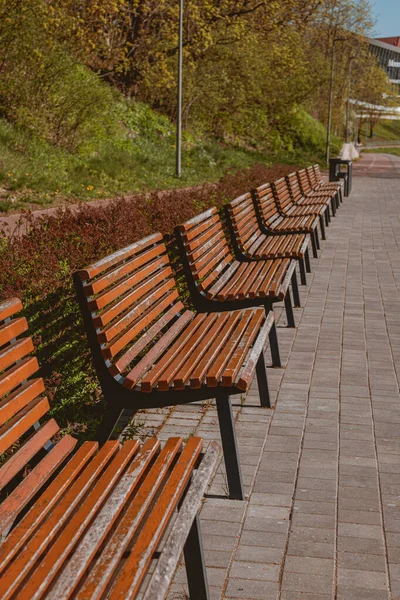 Tiro Vertical Uma Paisagem Parque Cidade Com Bancos Madeira Plantas — Fotografia de Stock