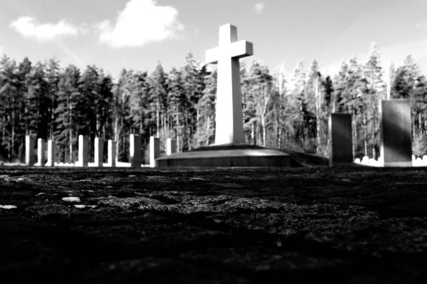 墓园景观的灰度照片 前面有一个巨大的石头十字架 — 图库照片