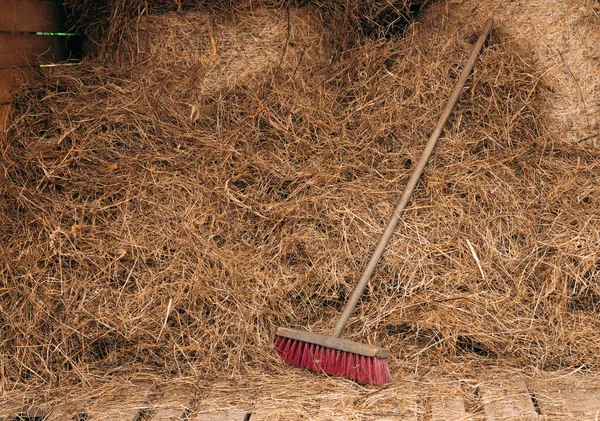 Una Grande Scopa Legno Appoggiata Mucchio Fieno — Foto Stock