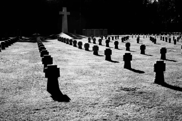 Grayscale Shot Cemetery Landscape Big Stone Cross Background — Stock Photo, Image